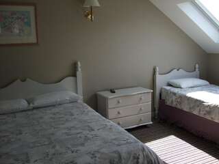 Гостевой дом Harmony Inn - Glena House Килларни Двухместный номер с 2 отдельными кроватями-4